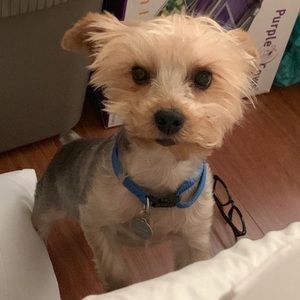 Meet your Posher, Natalia